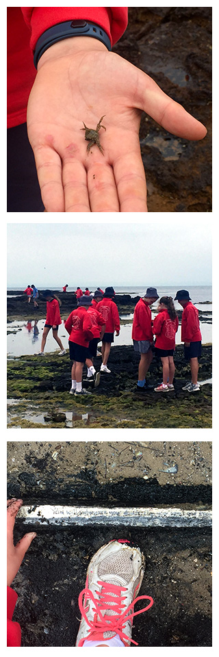 Stella Maris students at Ricketts Point