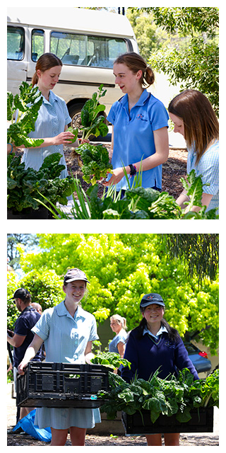 Mater Christi College Students