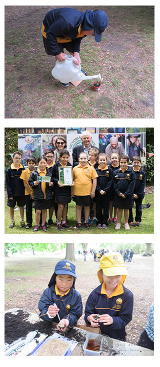 Images of student from St James the Apostle School, Hoppers Crossing North gardening.