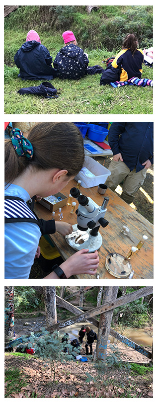 Young scientists from Our Lady Help of Christians School, Eltham.