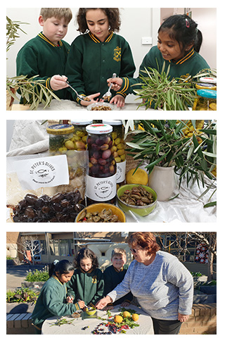 Students at St Peter’s School, Clayton, with their harvested olives.