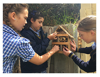 Students from St Joseph’s School, So working on a sustainability project called ‘Insect Hotels’.