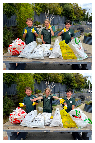 school clean up day