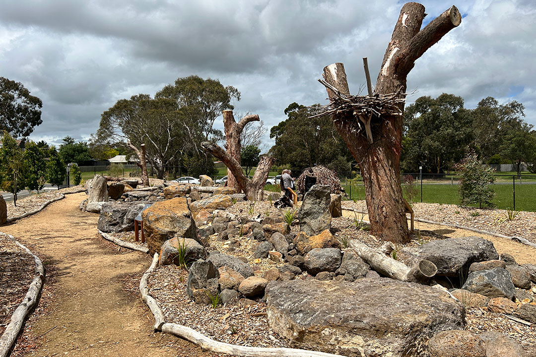 winding path of the new garden