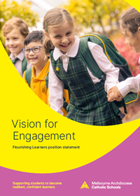 Vision for Instruction